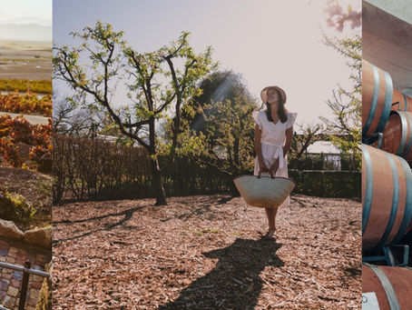 Wine Farms Near Me (Unique Experiences 2025)