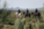 Horseback Safari in Karoo
