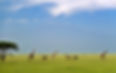 chyulu-hills-national-park.jpg