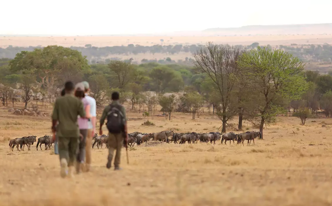 Sayari Camp Luxury Safari Tanzania - walking safari