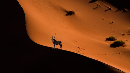 The Top 10 Reasons Why You Should Visit Namibia