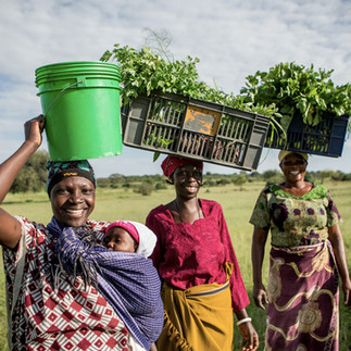 Faru Faru, Grumeti Reserves. local woman carrying baskets