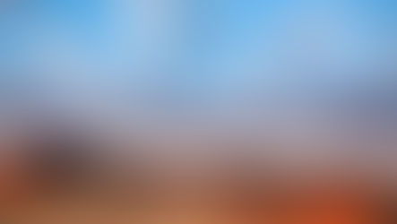 Is Namibia Good for Safari? A Guide to One of Africa’s Most Unique Wildlife Destinations