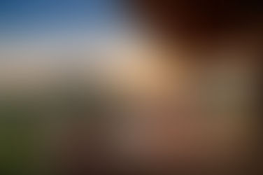 Babohi Lodge Review: 2024 Luxury Luxury South African Safari