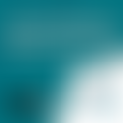 The Impact of Labor Law Changes in 2025: What HR Practitioners Need to Know