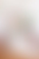 Styled Bridal Shoot - Classic Southern Bride - Morgan Comer