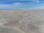 IMG_20200712_120517.jpg