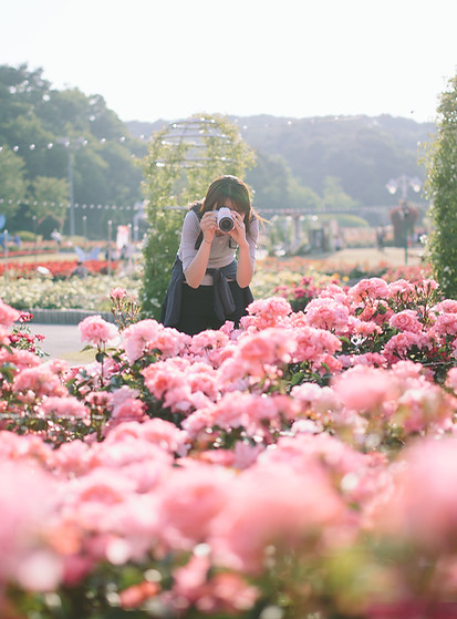 Flower Festival