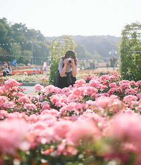  Flower Festival
