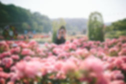 Women taking a photo of flowers