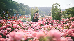 Medicinal Garden Tour