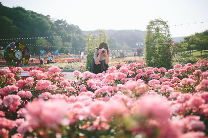 Women taking a photo of flowers