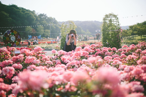 Flower Festival