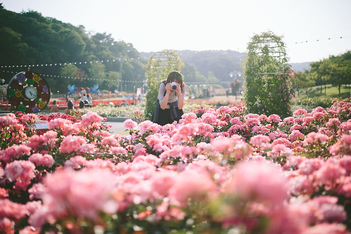 Flower Festival