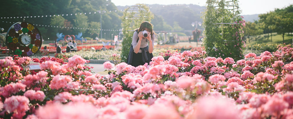 Flower Festival