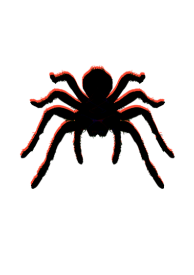 Copy of SPANKY (2).png