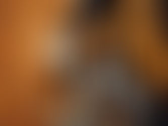 אוריינטציות עבודה, עוגני קריירה, מגדר והשפעתם על שביעות רצון מעבודה - בר שחרור, יוליה ליפשיץ-ברזילר