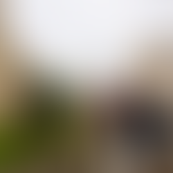 Telegraph: Oxford University bans lecturers and tutors from ‘intimate relationships’ with students