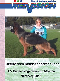 Orsino_vom_Reuschenberger_Land_BSZS2015.