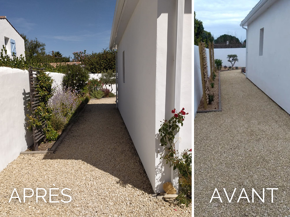 Retour en arrière – Projet 2022 : Aménagement d’un jardin à Noirmoutier