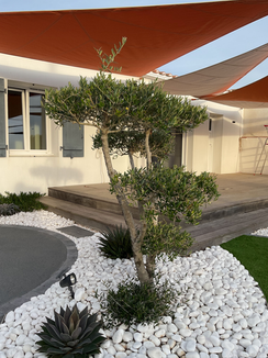 paysagiste noirmoutier - Maxime Nicolleau