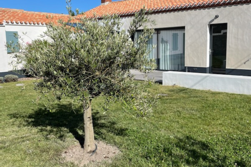pose de gazon traditionnel sur l’île de Noirmoutier