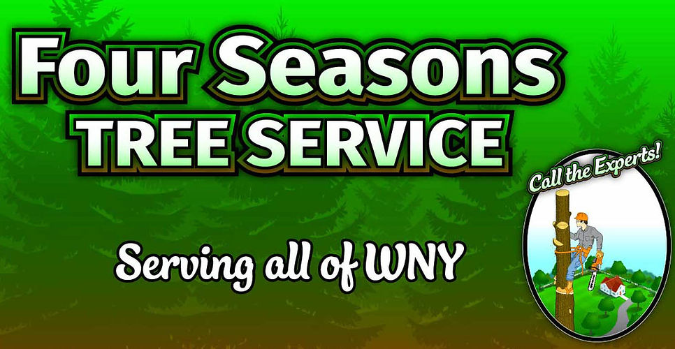 Four Seasons Header 2 (1).jpg