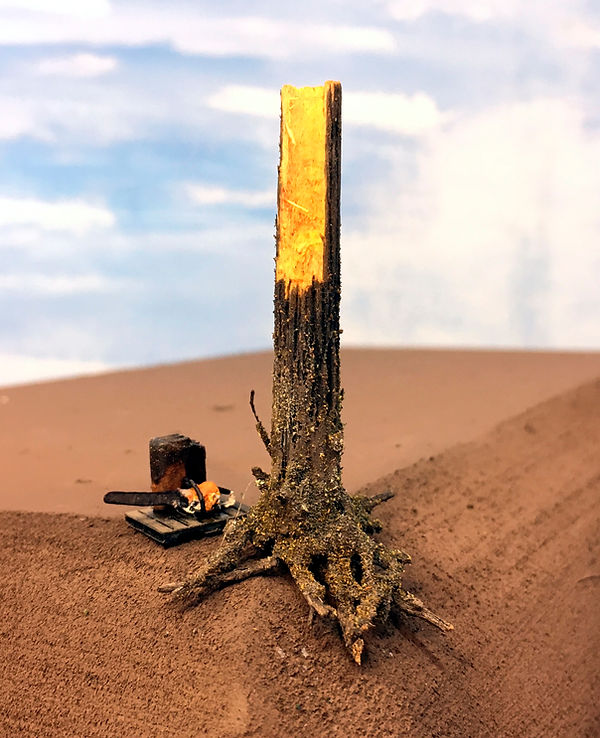 stump TALL Hollow 45 faceon 2.jpg