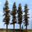 Thumbnail: Standard Fir Trees, 11 Inches, FOUR