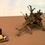 Thumbnail: Tipped-Over Stump