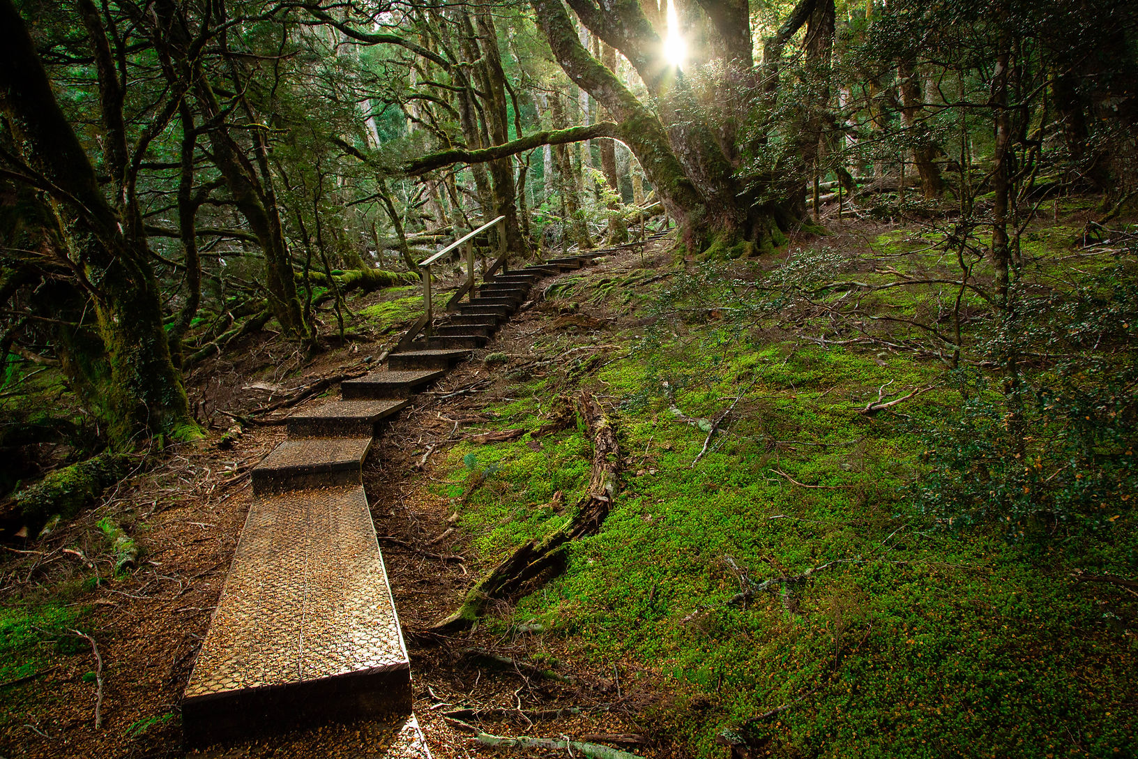Cradle Mountain