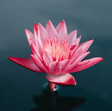 saffu-A7RzCegedb4-unsplash.jpg