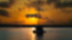 Copy of DJI_20241010043138_0005_D.jpg