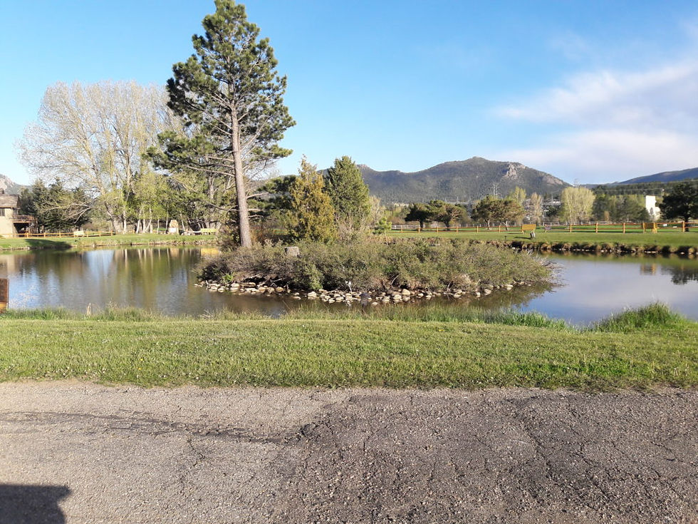 Pond in Estes Park