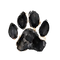 360_F_1091181599_hhClnKECNTjYwRfHQOeImmtbSgj2Z6Bv_edited.png