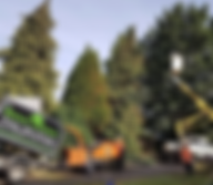 Tree Surgery.png