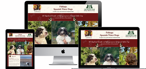 Screenshot 2025-11-17 at 18.04.18.png