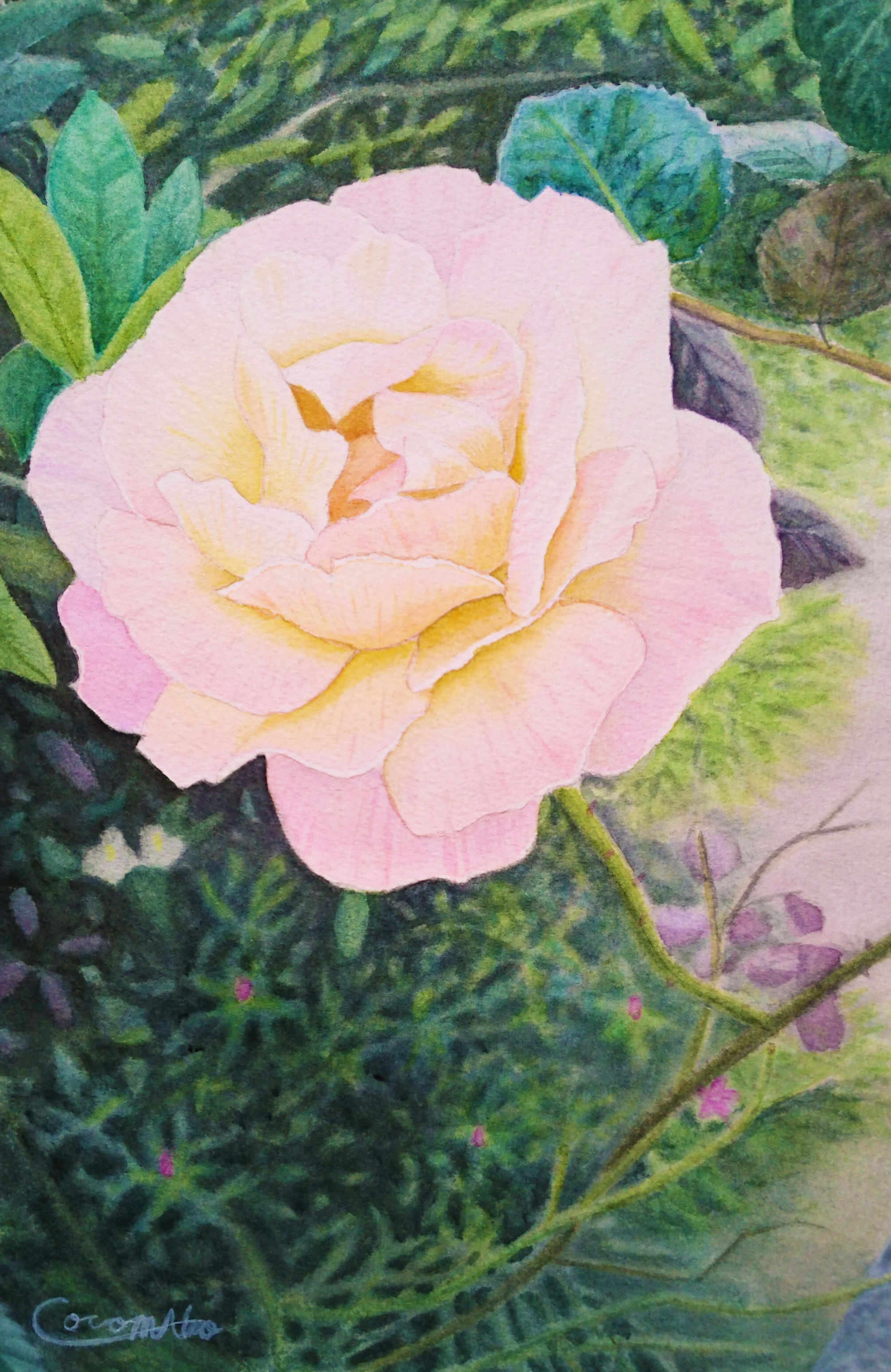 「庭先のバラ」PC用壁紙