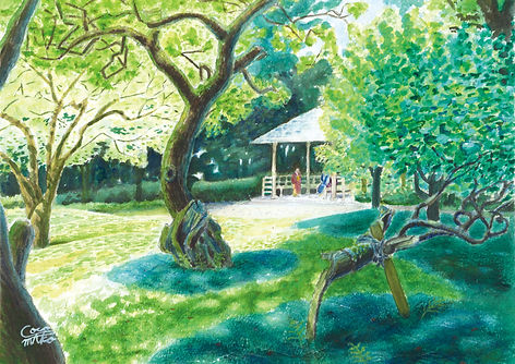 森の木々と木洩れ日の水彩画