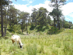 DSCN1158.JPG
