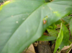 DSCN8113.JPG
