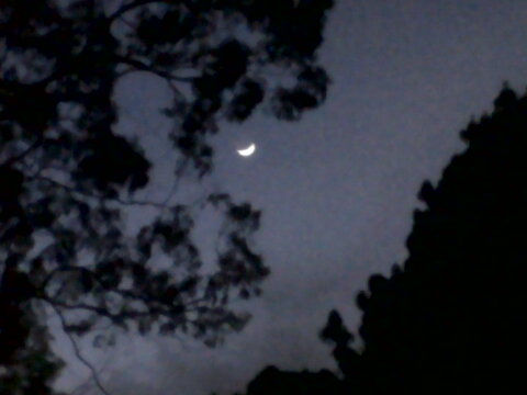 moon