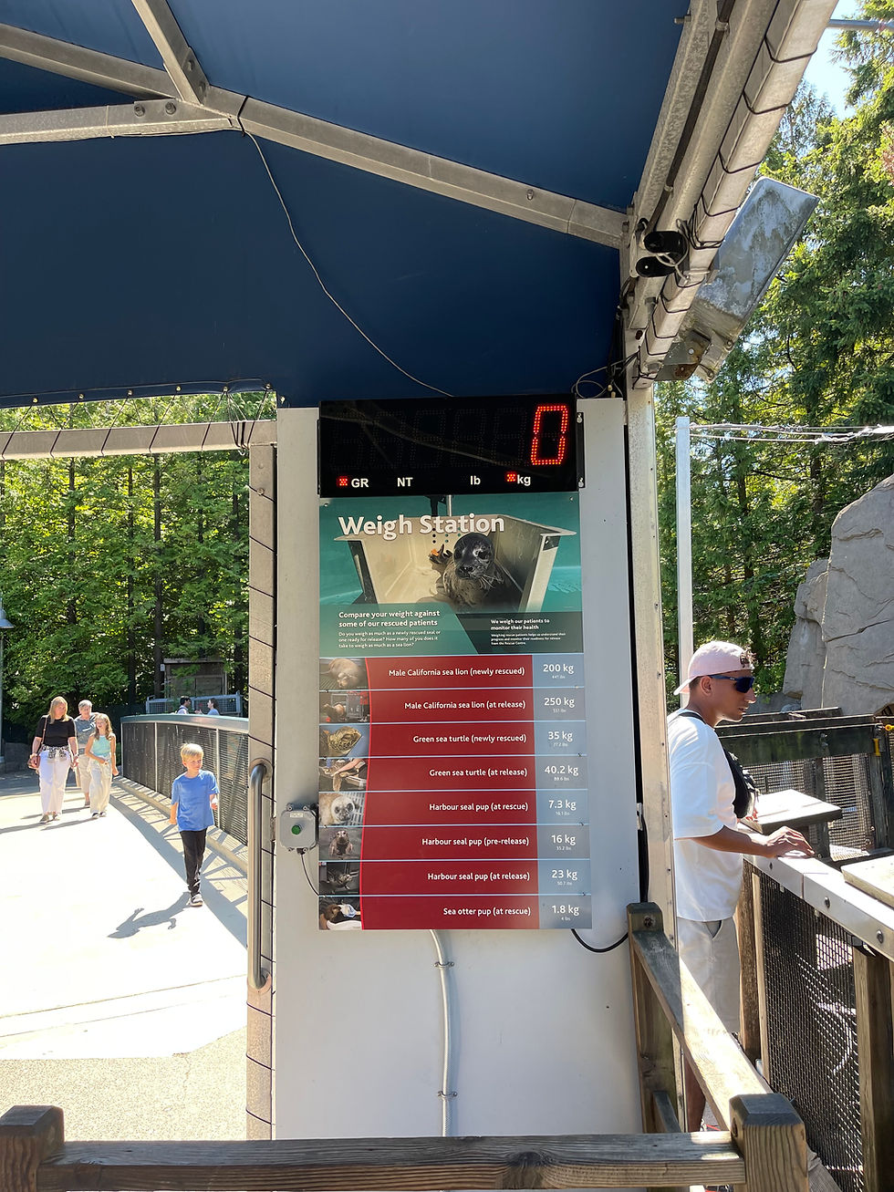 Kumb on raskem, sina või hüljes?