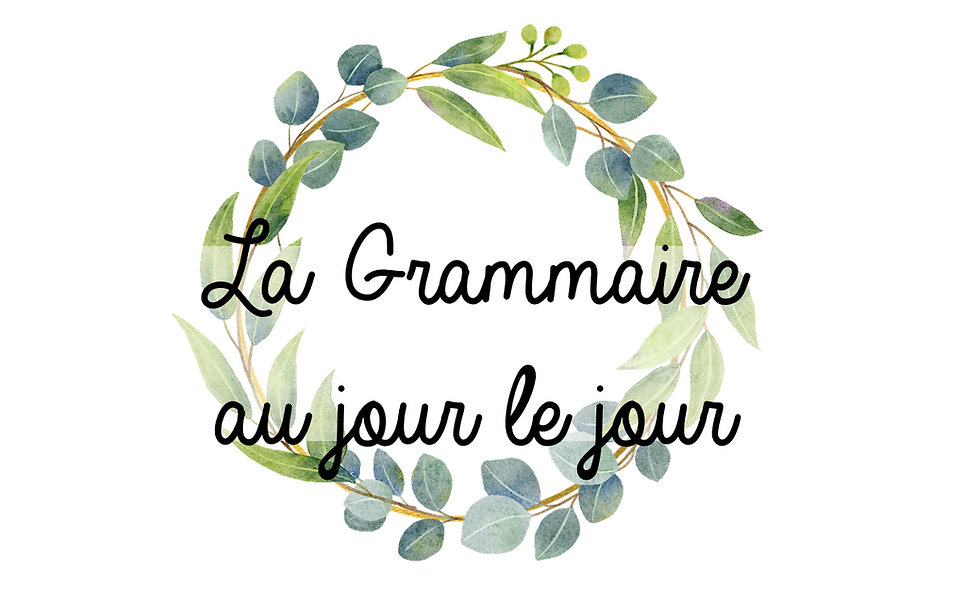 La Grammaire au jour le jour tome 1