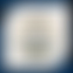 🏆2024년 제25회 서울청소년자원봉사대회🏆