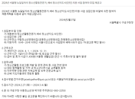 2024년 서울형 뉴딜일자리 청소년활동전문가, 예비 청소년지도사(인턴) 지원 사업 참여자 모집 재공고