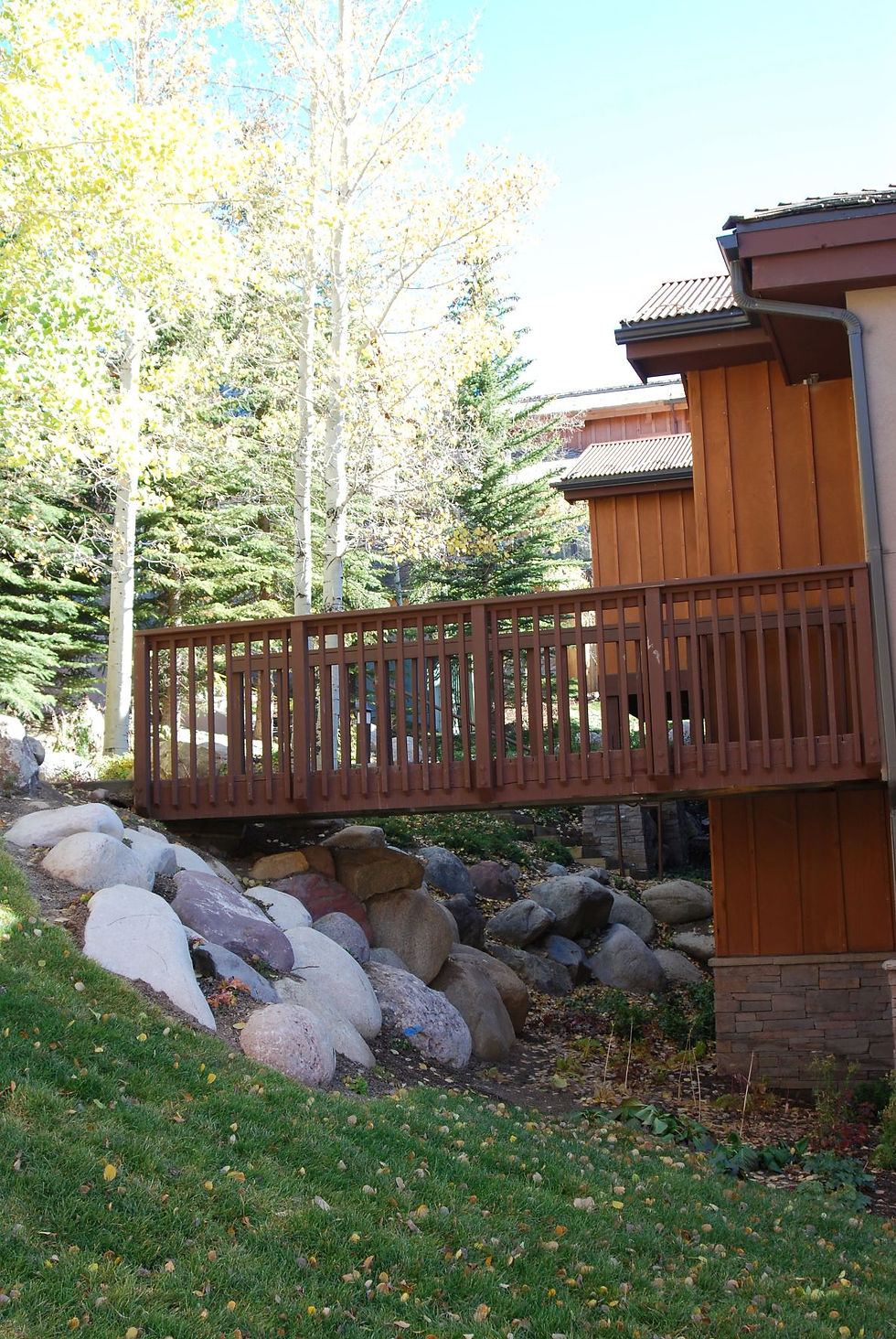 DSC_0103 reduced.JPG