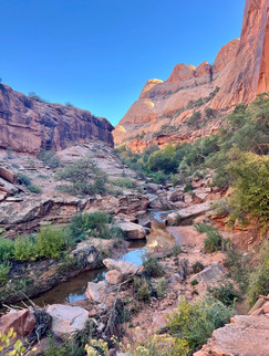 Peaceful view of a red rock canyon with a small stream, bright sky, and rugged cliffs near Moab.