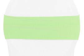 Spandex Chair Band - Mint Green