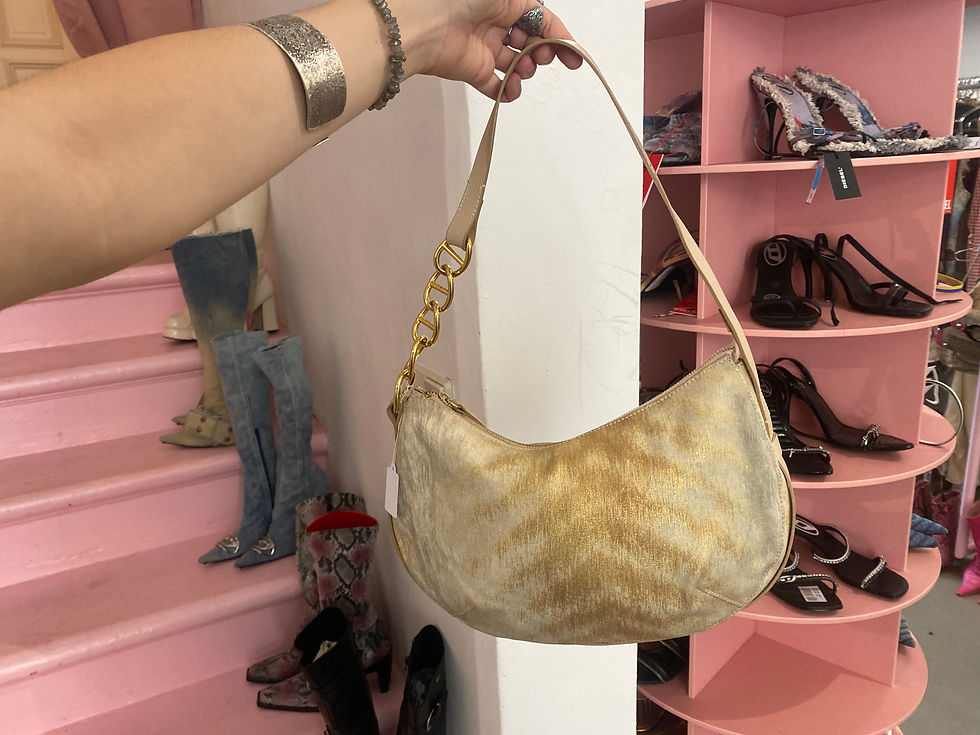 Thumbnail:  Just Cavalli bag